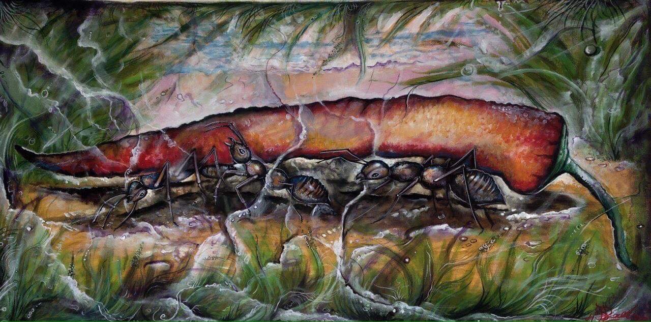 137321488 200184498472160 4055412163962370235 N